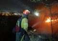 100 Bomberos Combaten Voraz Incendio Forestal en el Norte de Guayaquil