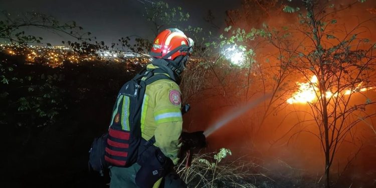 100 Bomberos Combaten Voraz Incendio Forestal en el Norte de Guayaquil