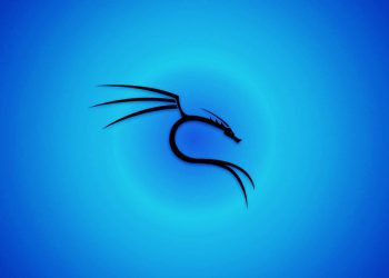 Kali Linux 2025.3 lanzado con 10 nuevas herramientas, mejoras de Wi-Fi