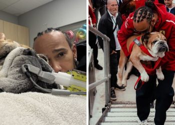 La Historia del Perrito de Lewis Hamilton Que Está Luchando por Desspertar Del Coma