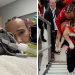 La Historia del Perrito de Lewis Hamilton Que Está Luchando por Desspertar Del Coma