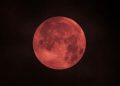 La 'Luna de SANGRE' Iluminó de Rojo los Cielos de Gran Parte del Mundo este 7 de Septiembre