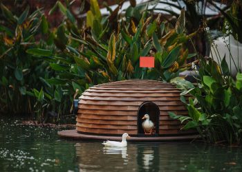 Cuatro chozas de madera flotantes forma cheng tsung feng's duck nido