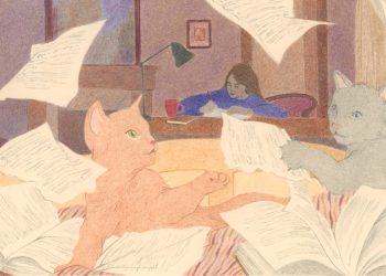 El misterio del misterio del gato