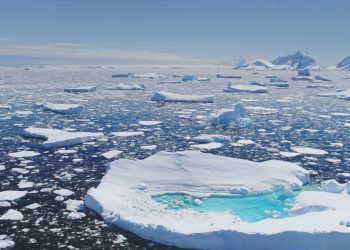 Estos trucos climáticos para salvar los postes podrían ser totalmente contraproducentes.