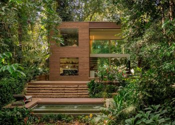 Arthur Casas construye su casa profundamente en los bosques de Iporanga, Brasil