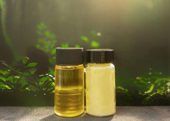 Los microbios productores de aceite de Terra Oleo podrían reemplazar las plantaciones destructivas de aceite de palma