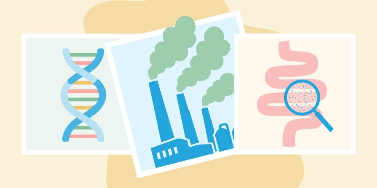 Las causas de la diabetes tipo 1