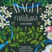 'Magia cotidiana', oon un Poco de Magia en Tu Vida Diaria