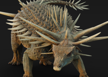 Este dinosaurio recién identificado tenía una armadura corporal enrollada: NPR