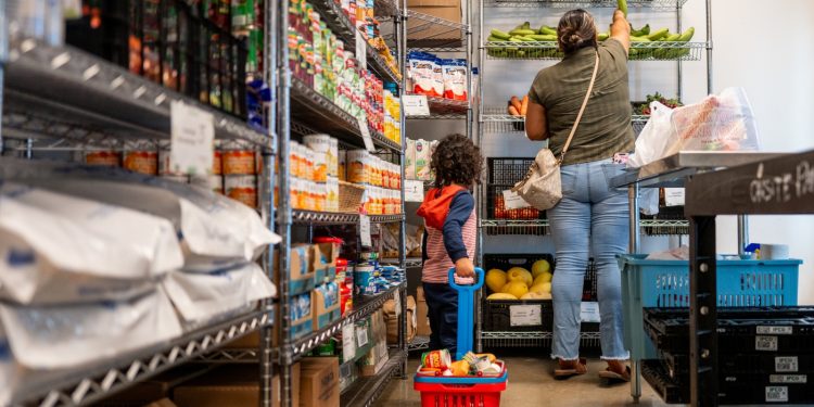 El USDA cancela el seguimiento de la encuesta de la encuesta cuántos estadounidenses luchan por obtener suficiente comida: NPR