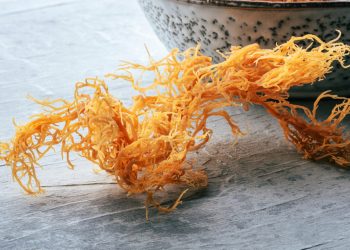 Sea Moss es uno de los últimos superalimentos de redes sociales. ¿Funciona? : NPR