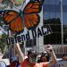 Estados Unidos considerará nuevas solicitudes para DACA por primera vez en años