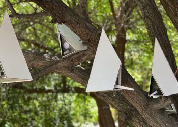 Nidos de la pirámide de madera forma Sistemas de casa de aves flexibles