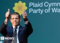 Plaid promete cuidado infantil gratuito si gana las elecciones en Senedd