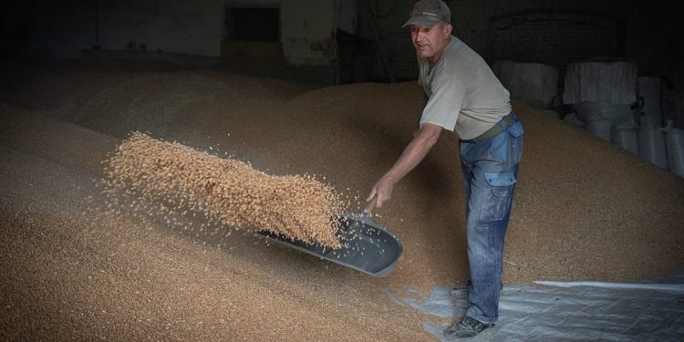 La UE firma un acuerdo agrícola con Ucrania incluso cuando persisten las divisiones políticas sobre enormes exportaciones