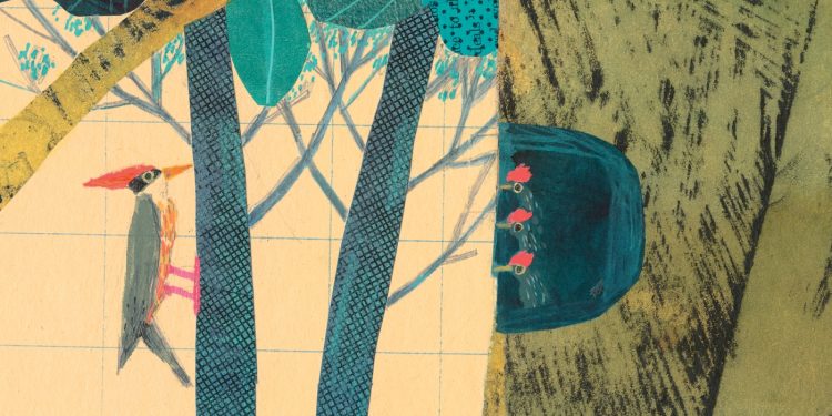 'Querida bellota, (amor, roble)' es un libro ilustrado de poemas de letras: NPR