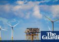 Los expertos dicen que los 1.100 millones de libras de Ed Miliband para nuevos proyectos eólicos marinos no son suficientes | energía eólica
