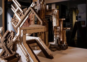 Donde los microbios son invitados bienvenidos