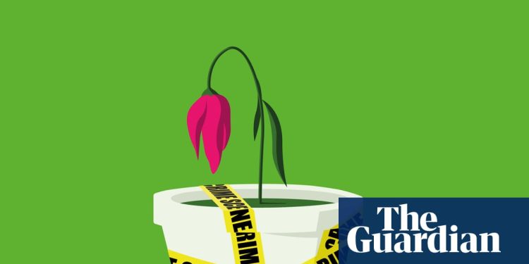 ¿Deberíamos tratar los delitos medioambientales más como un asesinato? | Ambiente