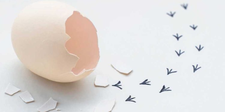 13 API inteligentes para capturar todo tipo de datos