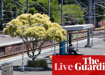 Noticias de Australia en vivo: la oposición de Nueva Gales del Sur revela un plan de viviendas de alta densidad para el interior oeste de Sydney; Hanson dice que Joyce no liderará One Nation | noticias de australia