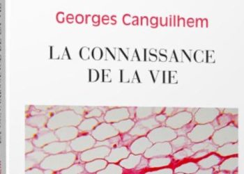 El increíble éxito de un ensayo filosófico publicado en 1952