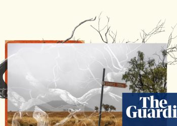 De Los Descendientes a Gina: las nominaciones de Guardian Australia para la 70ª edición anual de los premios Walkley | guardián australia