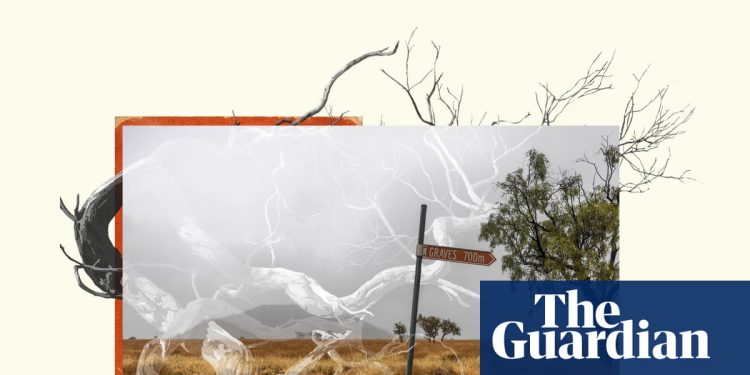 De Los Descendientes a Gina: las nominaciones de Guardian Australia para la 70ª edición anual de los premios Walkley | guardián australia