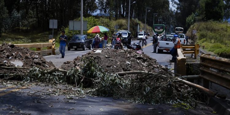 Bases del movimiento indígena de Imbabura dicen que el paro contra el Gobierno no se ha levantado en esta provincia | Política | Noticias