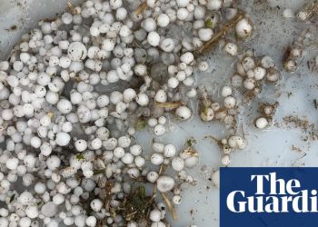 Miles de personas sin electricidad en Queensland mientras Victoria experimenta vientos «aterradores» después del día más lluvioso del año | El tiempo en Australia