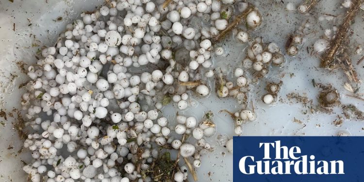 Miles de personas sin electricidad en Queensland mientras Victoria experimenta vientos «aterradores» después del día más lluvioso del año | El tiempo en Australia