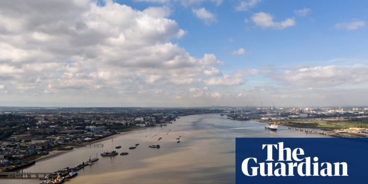 Los ministros del Reino Unido toman el control del cruce del Bajo Támesis valorado en 10.000 millones de libras | Infraestructura