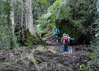 Visita turística continúa en números rojos: así cerrado al tercer trimestre de 2025