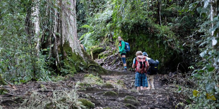 Visita turística continúa en números rojos: así cerrado al tercer trimestre de 2025