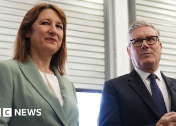 El agente de alquiler se disculpa por la «supervisión» de la licencia de alquiler de Reeves