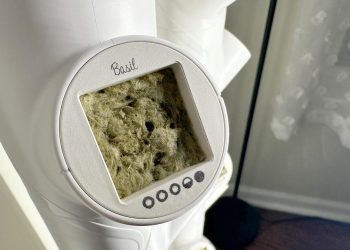 ¿Son viables los jardines inteligentes en casa? Así es como va mi viaje de cosecha hasta ahora