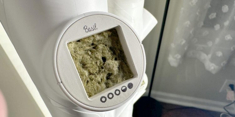 ¿Son viables los jardines inteligentes en casa? Así es como va mi viaje de cosecha hasta ahora