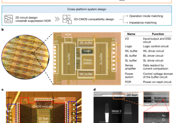 Un chip flash 2D con todas las funciones habilitado por la integración del sistema