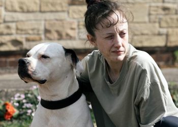 Le Festival de Dinard Sorprendend en Couronnant Le Drame Social Dragonfly