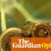 La opinión de The Guardian sobre el enfoque laborista en la naturaleza: el problema no son los caracoles, sino un modelo de vivienda roto | Editorial