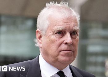 El príncipe Andrés debería enfrentarse a los parlamentarios por el arrendamiento de Royal Lodge, dice Davey