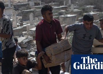 Agencias se preparan para llevar ayuda a las personas hambrientas en Gaza mientras el alto el fuego parece mantenerse | Gaza