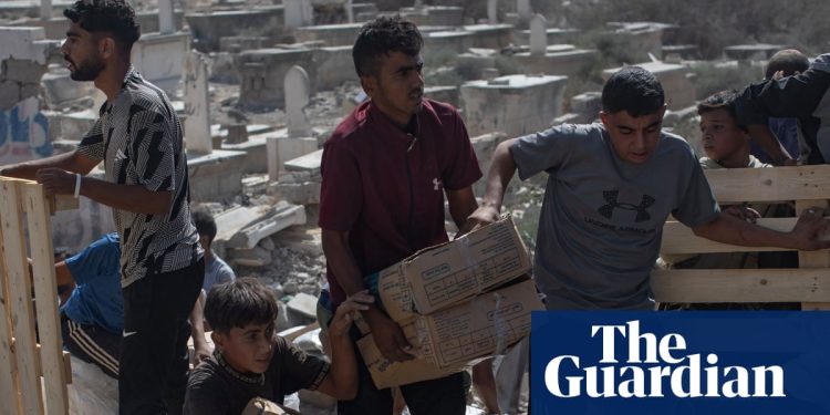 Agencias se preparan para llevar ayuda a las personas hambrientas en Gaza mientras el alto el fuego parece mantenerse | Gaza