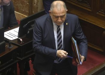 Juez: «Si hubiera ido al acto de Milei estaría escondido con un pasamontaña, me dan vergüenza esas boludeces»