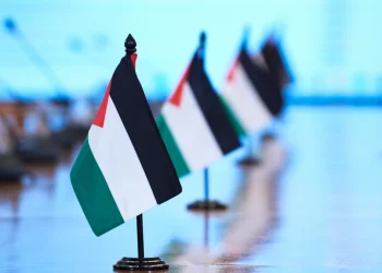 ¿Estrategia del Gobierno Petro para Bases SUS?