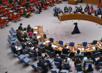 Colombia en el Consejo de Seguridad de la ONU: ¿oportunidad o viacrucis?