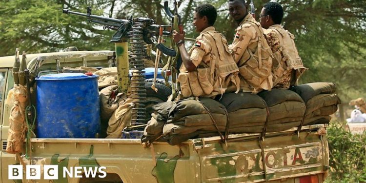 Alertan sobre crímenes de guerra mientras El-Fasher se queda sin alimentos