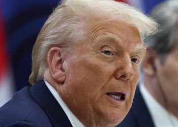 Donald Trump otorga licencia a los miembros de la agencia censée supervisora ​​de trabajos faraónicos en Washington