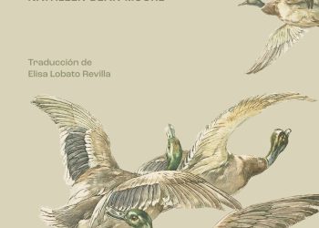 Raíces – Culturamas